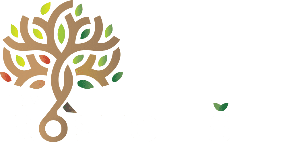 logo Ibv.webforrent.sk